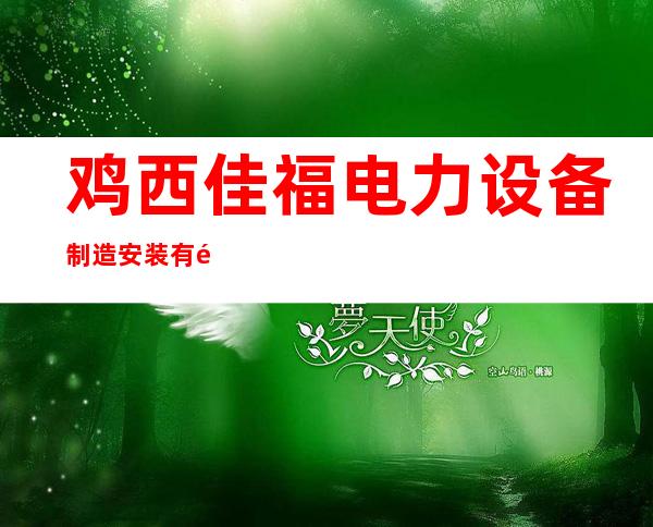 鸡西佳福电力设备制造安装有限公司海南分公司